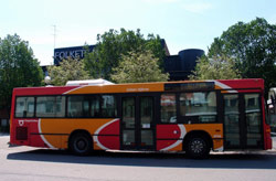 Женские автобусы