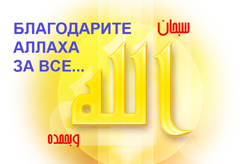 О благодарности Всевышнему