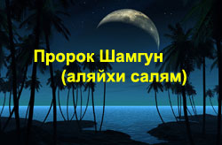 Шамгун – воин Аллаха