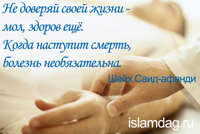 Высказывания шейха Саида-афанди